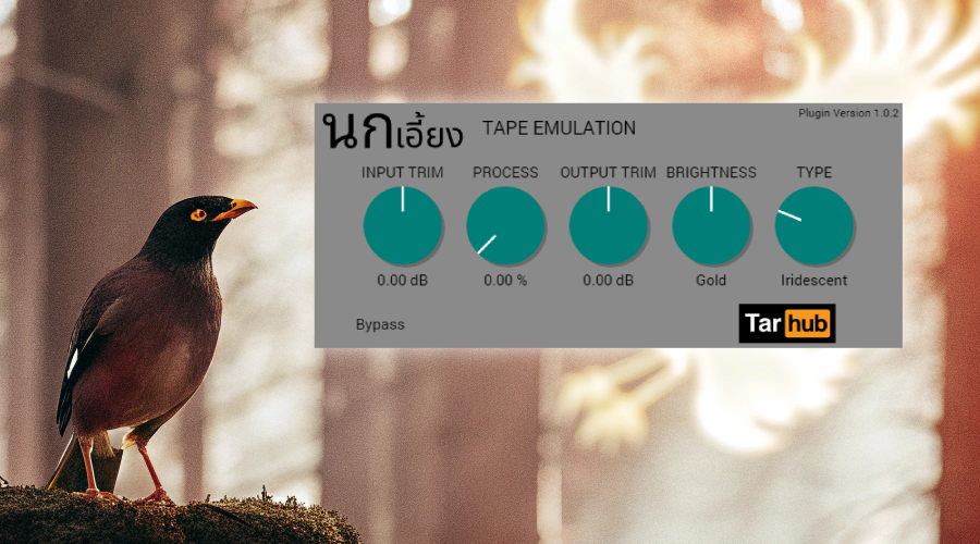Myna