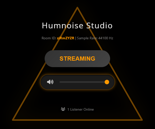 Custom Visualizer